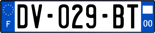 DV-029-BT