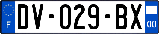 DV-029-BX