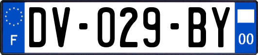 DV-029-BY