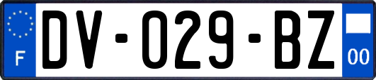 DV-029-BZ