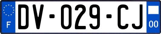 DV-029-CJ