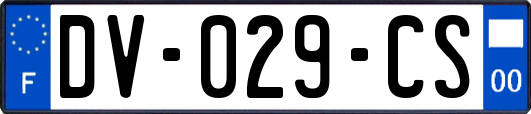 DV-029-CS