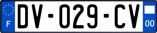 DV-029-CV