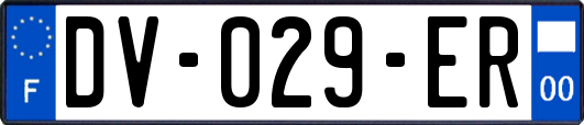 DV-029-ER