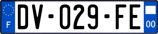 DV-029-FE