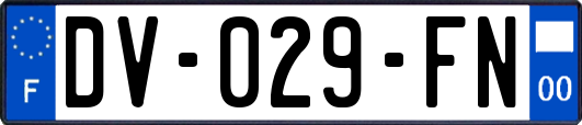 DV-029-FN