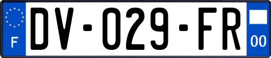 DV-029-FR