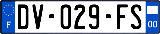 DV-029-FS