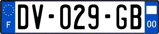 DV-029-GB