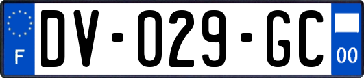 DV-029-GC