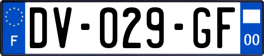 DV-029-GF