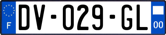 DV-029-GL