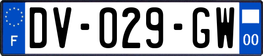 DV-029-GW