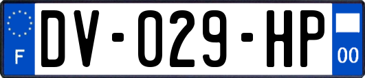 DV-029-HP