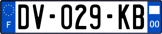 DV-029-KB