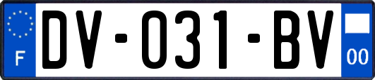 DV-031-BV