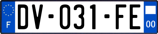 DV-031-FE