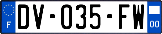 DV-035-FW