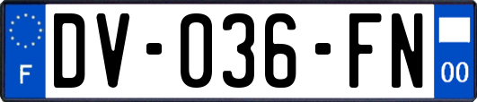 DV-036-FN