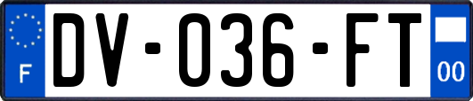 DV-036-FT