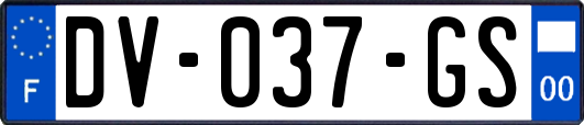 DV-037-GS