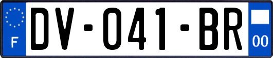 DV-041-BR