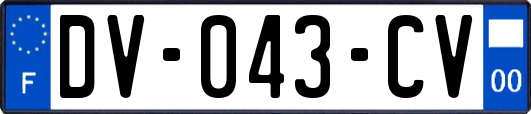 DV-043-CV