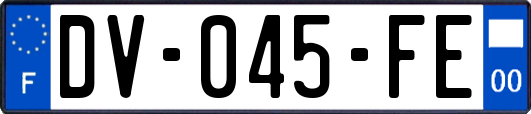 DV-045-FE