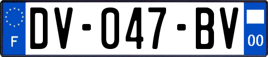 DV-047-BV