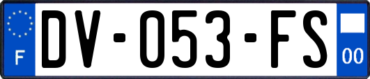 DV-053-FS