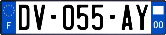 DV-055-AY