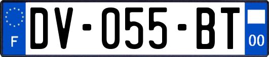 DV-055-BT