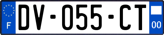 DV-055-CT