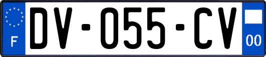 DV-055-CV