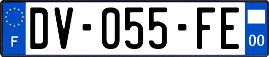 DV-055-FE