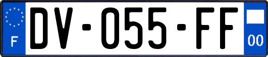 DV-055-FF