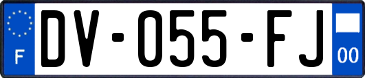 DV-055-FJ