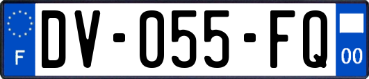 DV-055-FQ