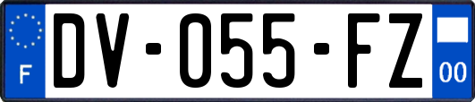 DV-055-FZ