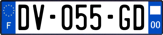 DV-055-GD