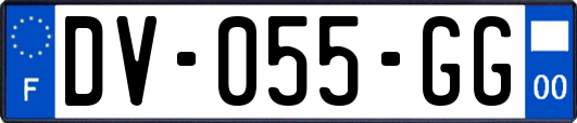 DV-055-GG