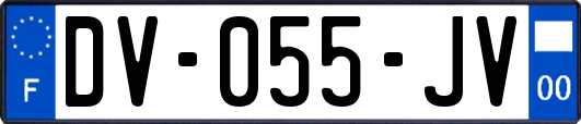 DV-055-JV