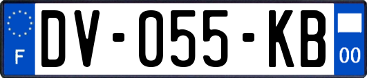 DV-055-KB