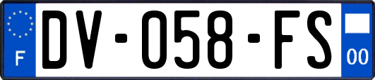 DV-058-FS