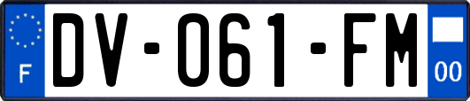 DV-061-FM