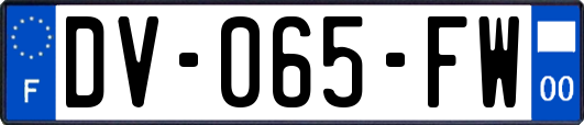 DV-065-FW