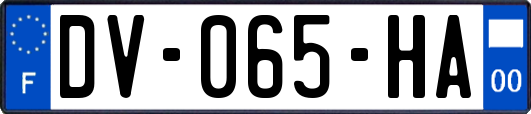 DV-065-HA