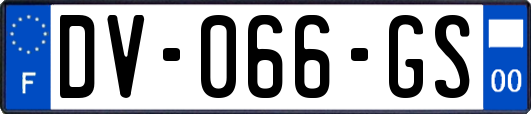 DV-066-GS
