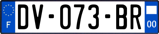 DV-073-BR