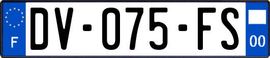 DV-075-FS